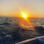 HipocamposBoat.11