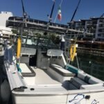 HipocamposBoat.3