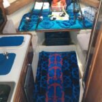 HipocamposBoat.5